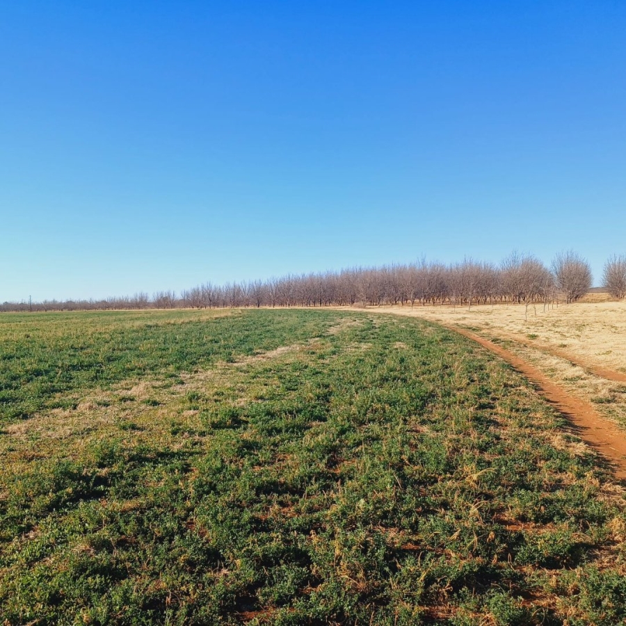  Bedroom Property for Sale in Barkly West Rural Northern Cape